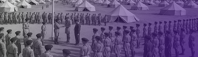 timeline placeholder